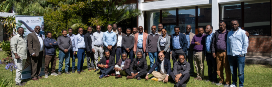 Participants